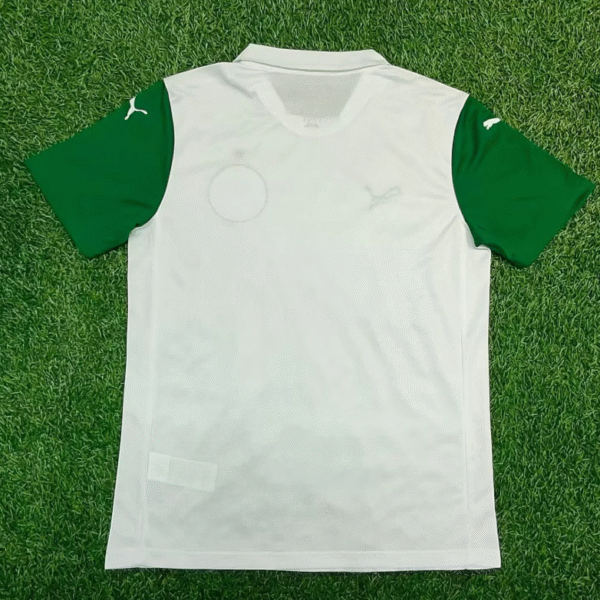 Palmeiras away - Image 3