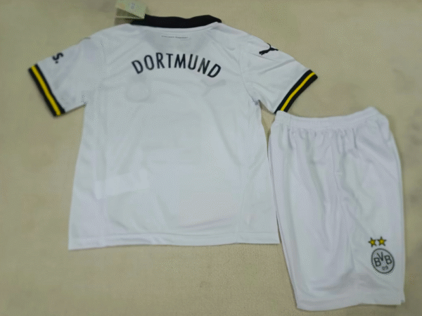 24-25 Dortmund's second away game - Image 2