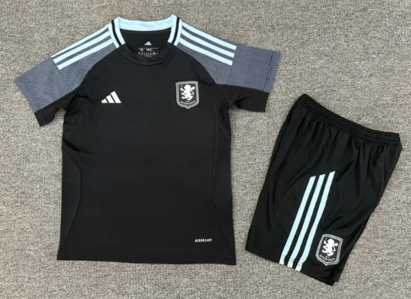 2526 Children Aston Villa away