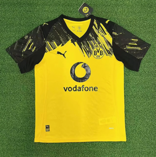 2526 Dortmund home