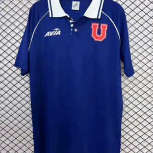 1993 University of Chile home stadium