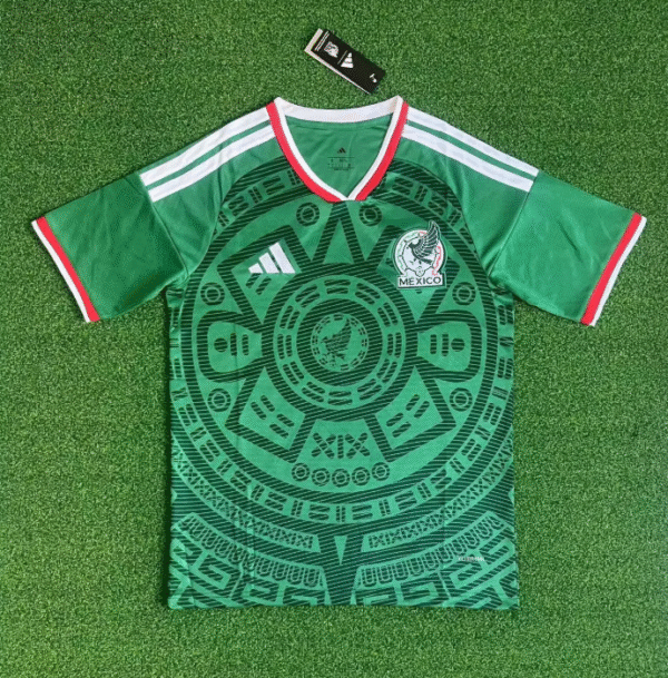 26 Mexico home