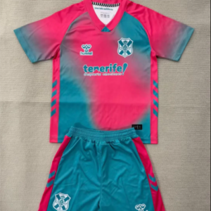 25/26 Tenerife 2 guests