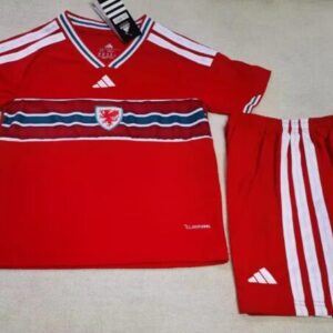 Wales home ground in the 26-27 World Cup