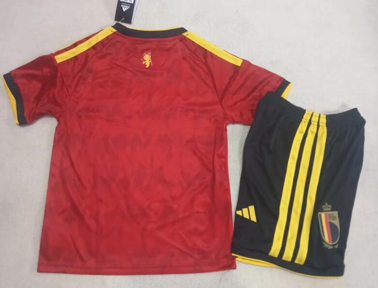 26-27 Belgium home game - Image 2