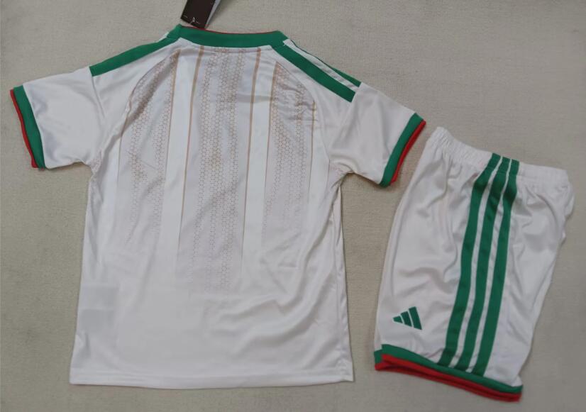 26-27 Algeria home game - Image 2