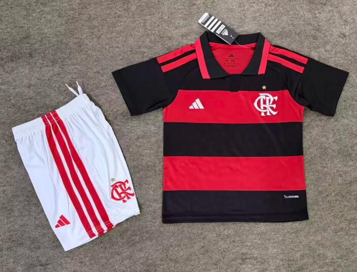 2627 Flamengo Home Stadium