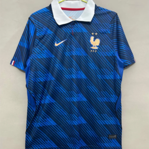 2627 France Home Stadium