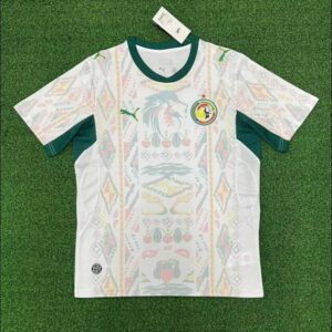 2627 Senegal home game