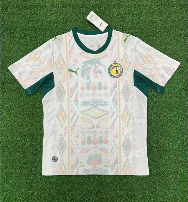 2627 Senegal home game